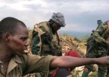 Rwambikanye habura gica, hagati ya Wazalendo na FARDC.