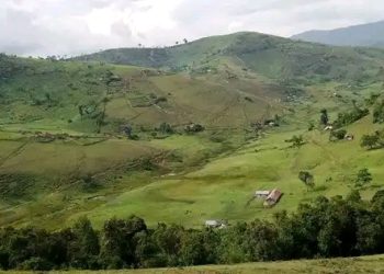 Kubaho ku mutwe wa Red-Tabara gusigariye mu biganza by’Imana nyuma yo gukubitwa ahababaza.