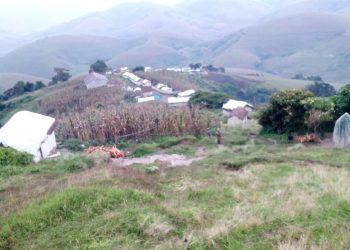 Ibyo wa menya kuri FDLR nyinshi zagaragaye ku misozi yo mu Rurambo.