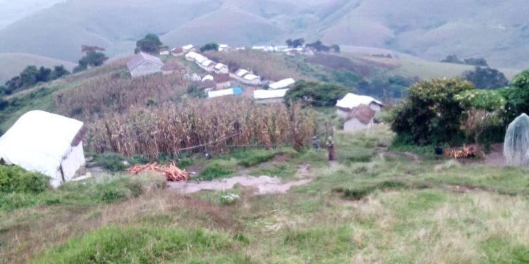 Ibyo wa menya kuri FDLR nyinshi zagaragaye ku misozi yo mu Rurambo.
