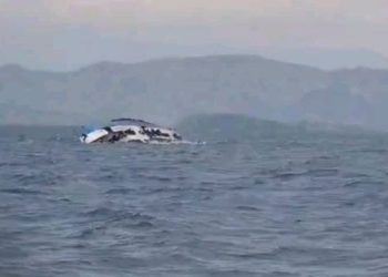 Umubare wamaze ku menyekana ko baguye barohamye mu kiyaga cya Kivu wa menyekanye.