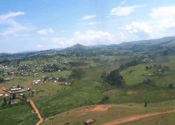 Umusaza wari ufunzwe azira drone yaburiwe irengero yafunguwe.