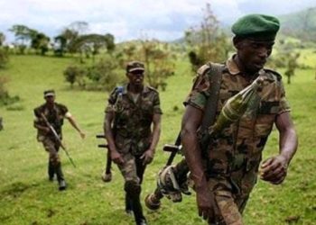 Menya ibyingenzi ku gace ka Pinga m23 yigaruriye.