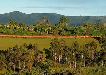 Ibyo guhohotera Abanyamulenge mu Minembwe byongeye gufata indi ntera.