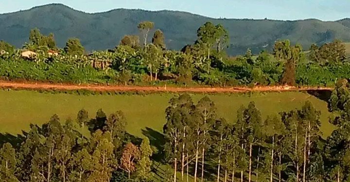 Ibyo guhohotera Abanyamulenge mu Minembwe byongeye gufata indi ntera.