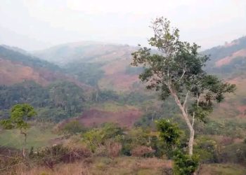 I Makenda hagaragaye FDLR nyinshi hamenyekana n’icyo zigambiriye.