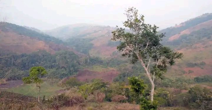 I Makenda hagaragaye FDLR nyinshi hamenyekana n’icyo zigambiriye.