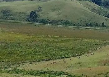 Hatanzwe umucyo ku masasu yarasiwe mu Mikenke ubu mu ijoro.