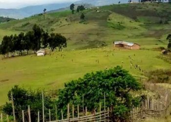 Ibindi bitavuzwe kuri FDLR ivugwa muri Rurambo.