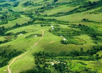 Nyuma ya muka Sositeni, hafunzwe abandi Banyamulenge mu Minembwe.