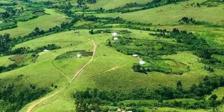 Nyuma ya muka Sositeni, hafunzwe abandi Banyamulenge mu Minembwe.