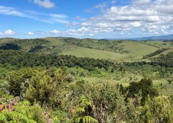 Mu Kalingi harasiwe umu motari hamenyekana n’abamurashe.