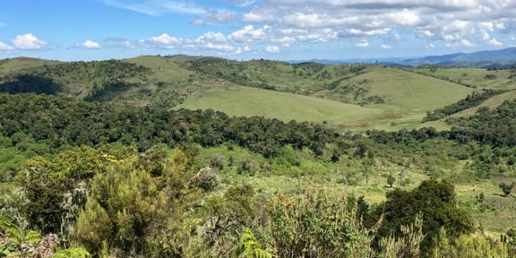 Mu Kalingi harasiwe umu motari hamenyekana n’abamurashe.