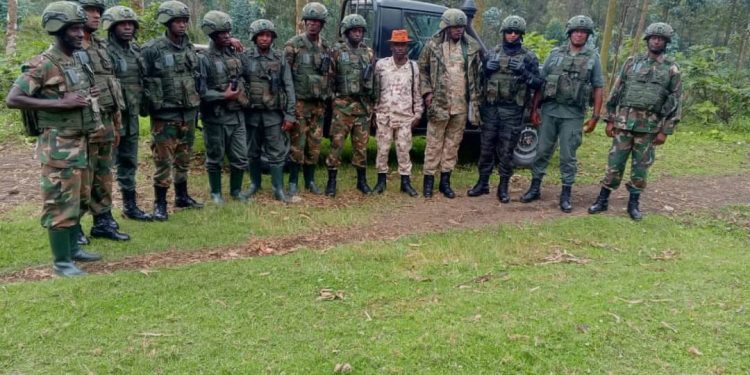 Imirwano ikomeye yongeye kubura i Rutshuru muri Kivu Yaruguru.