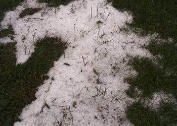 Imvura y’urubura yaguye mu Marango, yangirije imyaka(ibihingwa).