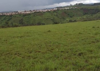 FARDC na Maï Maï bafunze Abanyamulenge barenga 5 mu Cyohagati.