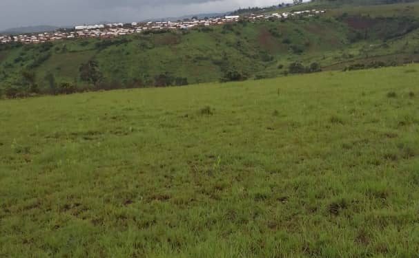 FARDC na Maï Maï bafunze Abanyamulenge barenga 5 mu Cyohagati.