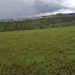 FARDC na Maï Maï bafunze Abanyamulenge barenga 5 mu Cyohagati.