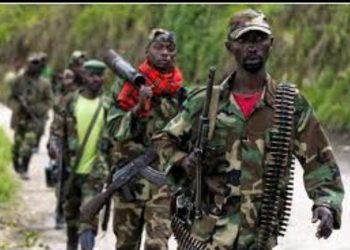 Hemejwe umushinga wo kurandura umutwe wa FDLR burundu.