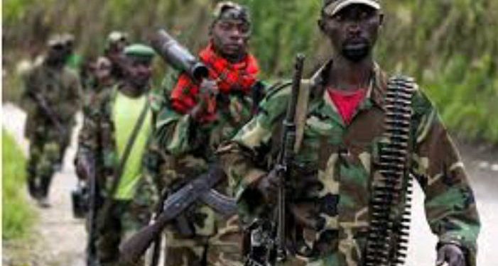 Hemejwe umushinga wo kurandura umutwe wa FDLR burundu.