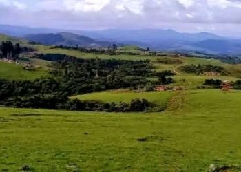 Red-Tabara yagabye igitero gikaze mu Mibunda.