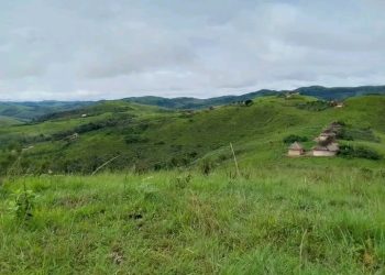 Igitero cya Red-Tabara cyangije iby’abaturage mu Mibunda.