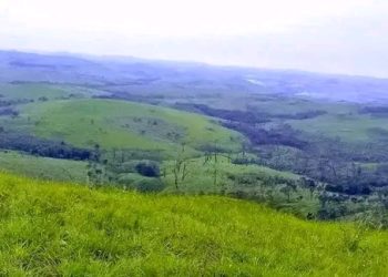 Maï-Maï yagabye igitero mu baturage, yakubiswe izakabwana mu Biziba.