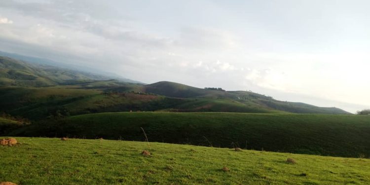 Mu Bibogobogo, Twirwaneho yatezwe iminsi.