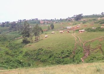 Mu duce dutwawe na Chef Muganwa twagaragayemo Maï-Maï, havugwa ni kiyegenza.