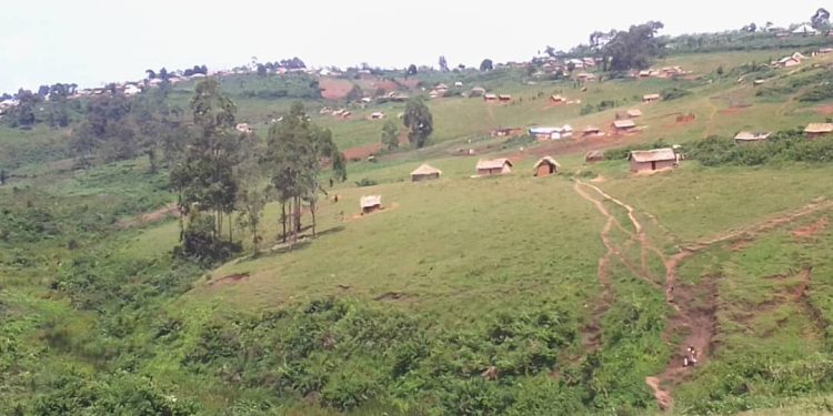 Mu duce dutwawe na Chef Muganwa twagaragayemo Maï-Maï, havugwa ni kiyegenza.