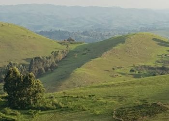 Menya ibiri kuvugwa mu Bibogobogo.