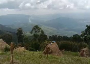 Imirwano ikaze yongeye kubera muri teritware ya Lubero.