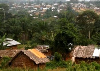 Muri RDC abahinzi baja guhinga babanje kubona ababaherekeza.