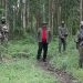 Ahamaze iminsi habera urugamba hari ibyahindutse hagati ya M23 n’ihuriro ry’Ingabo za RDC.