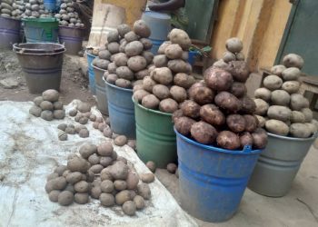 Izamuka ry’ibiciro mu mujyi wa Goma riravuza ubuhuha.