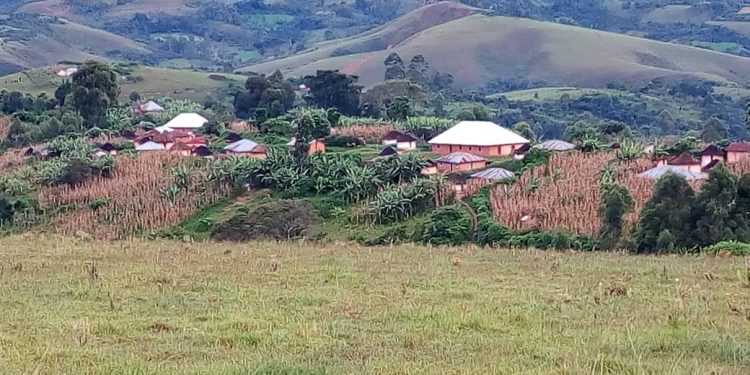 FARDC yagabye igitero mu muhana utuwe n’Abanyamulenge wa Gakenke.