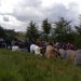 Abanyamulenge bakuye ikiriyo cy’umuturage wishwe na FARDC mu Minembwe.