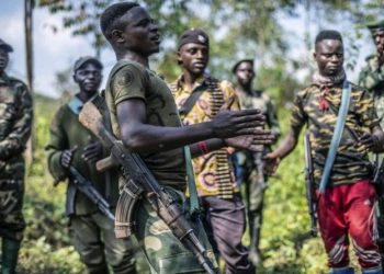 Uwari inkingi ikomeye muri FDLR yapfuye.