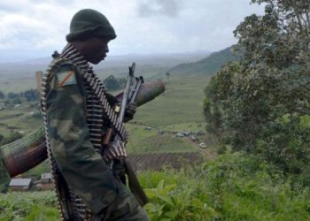 FDLR nyuma yo gukubitwa na m23, bamwe muri yo bahungiye mu Rwanda.