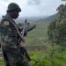 FDLR nyuma yo gukubitwa na m23, bamwe muri yo bahungiye mu Rwanda.