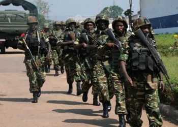 Ibyo wa menya ku ngabo za Malawi ziri kuvanwa muri RDC.