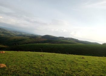 FARDC iri guhiga Abasore ba Banyamulenge bukware mu Bibogobogo.