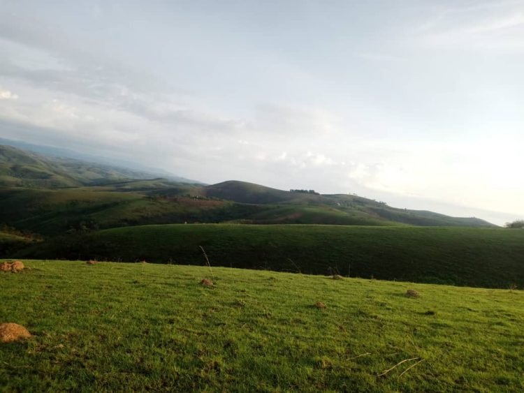 FARDC iri guhiga Abasore ba Banyamulenge bukware mu Bibogobogo.
