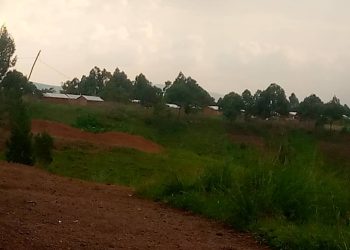 Guhohotera Abanyamulenge b’impunzi mu Burundi byongeye gufata indi ntera.