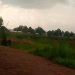 Guhohotera Abanyamulenge b’impunzi mu Burundi byongeye gufata indi ntera.