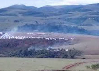 Ingabo za FARDC, iz’u Burundi, FDLR na Wazalendo zatwitse imihana y’Abanyamulenge muri Kivu y’Epfo.