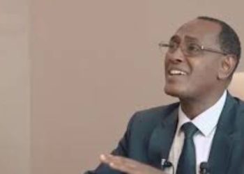 Nyarugabo yamaganye Leta y’i Kinshasa nyuma y’igitero cya Sukhoi-25 mu Minembwe.