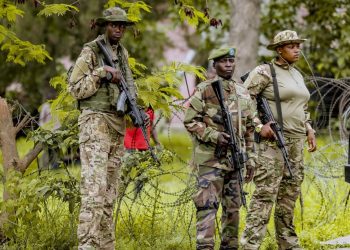 What You Need to Know About the Rugezi Area, Recently liberated by M23 and Twirwaneho