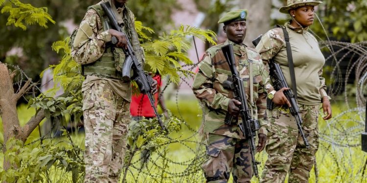 What You Need to Know About the Rugezi Area, Recently liberated by M23 and Twirwaneho