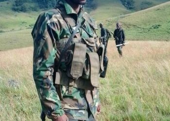 Umuriro w’imbunda z’amadubu watumye abakorera mu kwaha kwa Leta bagira ihahamuka!